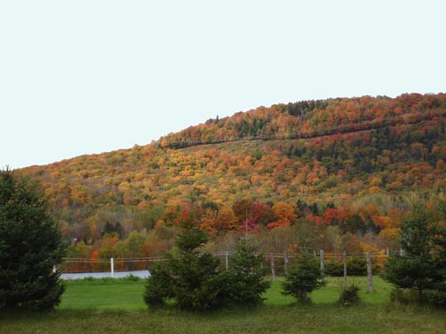 Picture of Jacques Cartier Park Canada