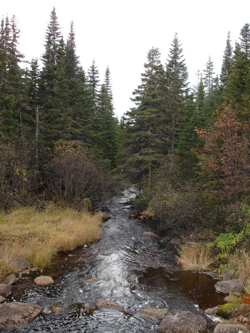 Picture of Jacques Cartier Park Canada