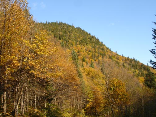 Picture of Jacques Cartier Park Canada