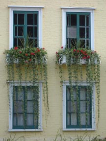 Picture of Quebec City Canada