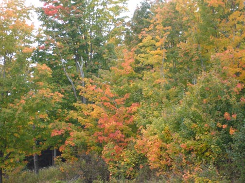 Picture of Charlevoix Canada